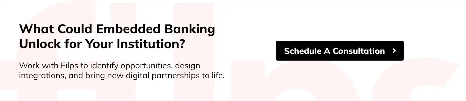 Embedded Banking Rails - Schedule a Consultation